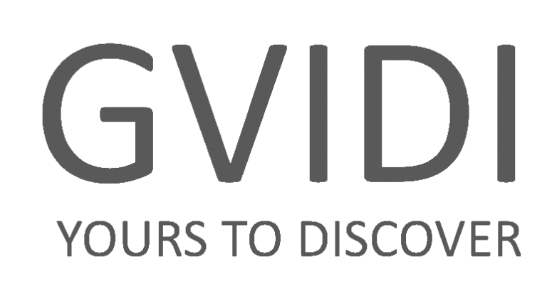 Image with missing alt attribute found on gvidi.tv