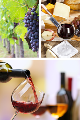 Image with missing alt attribute found on hachette-vins.com