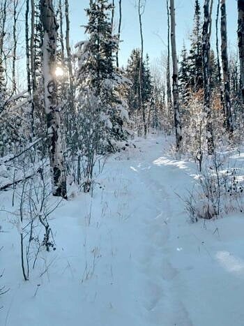 Nine Favorite Things.