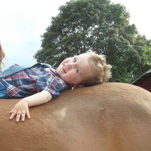 Image with missing alt attribute found on handihand.se