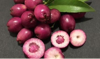 Image with missing alt attribute found on healthbenefitstimes.com