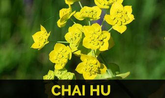 Image with missing alt attribute found on healthbenefitstimes.com