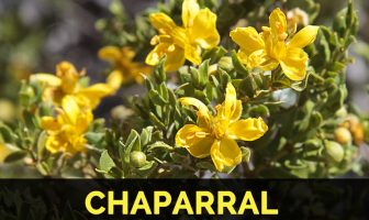 Image with missing alt attribute found on healthbenefitstimes.com