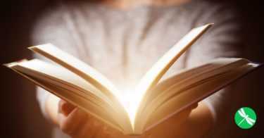 Woman Turns The Stump Of A 110-Year-Old Tree Into A Magical Little Library For The Neighborhood