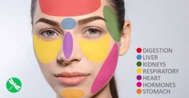 Face Mapping: What Science Says & How It Works