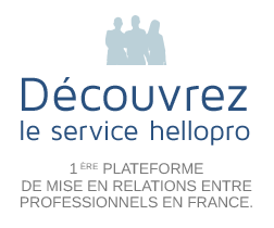 Image with missing alt attribute found on hellopro.fr