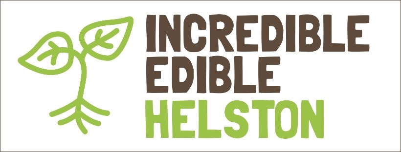 Image with missing alt attribute found on helstonclimateaction.earth