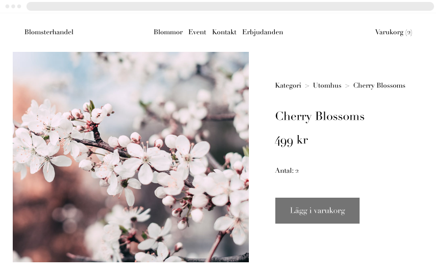 Image with missing alt attribute found on hemsida24.se
