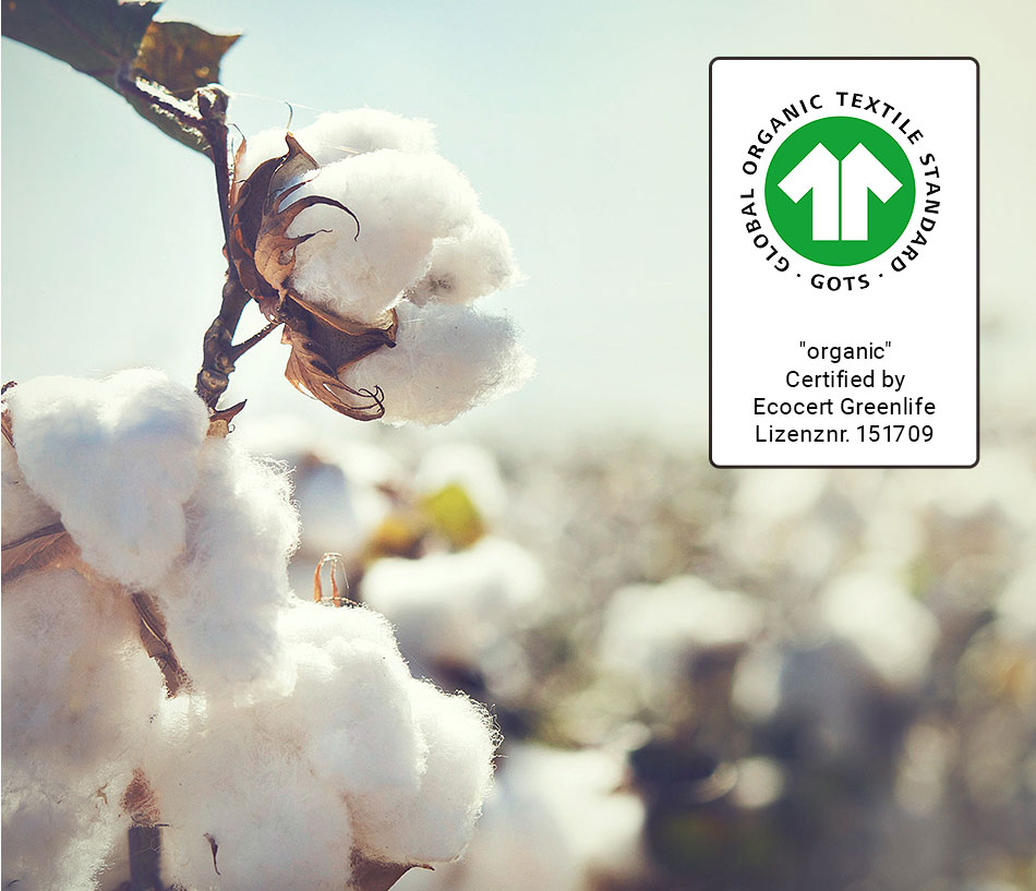 Image with missing alt attribute found on hessnatur.com