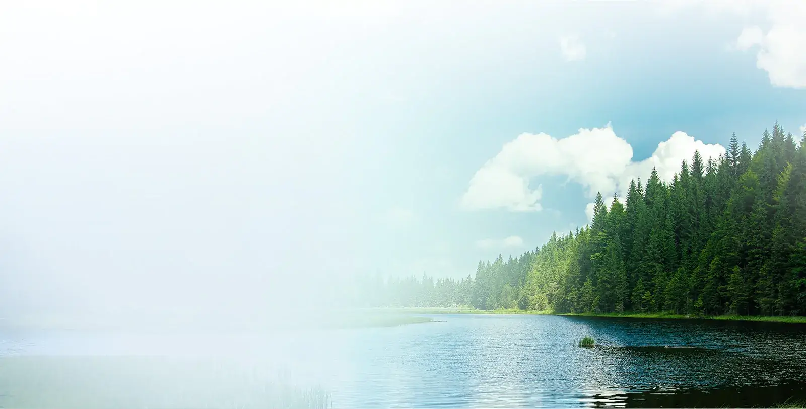 Image with missing alt attribute found on hikaeequs.com