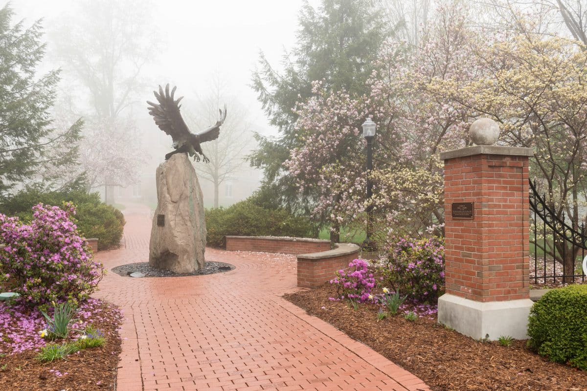 Image with missing alt attribute found on hillsdale.edu