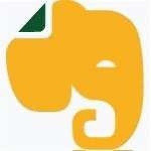 Image with missing alt attribute found on holidaymoods.in