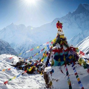 Image with missing alt attribute found on holidaymoods.in