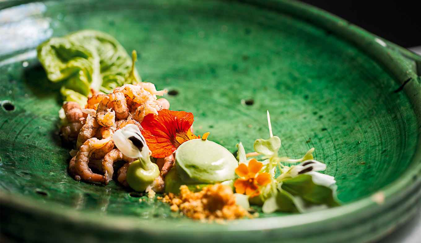 Image with missing alt attribute found on holland.com