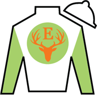 Image with missing alt attribute found on horseracingnation.com