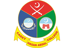 Image with missing alt attribute found on hostingwalay.pk