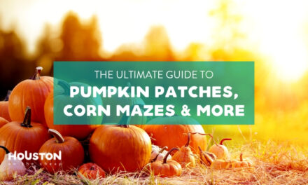 The Ultimate Guide to Houston Pumpkin Patches, Corn Mazes, and More