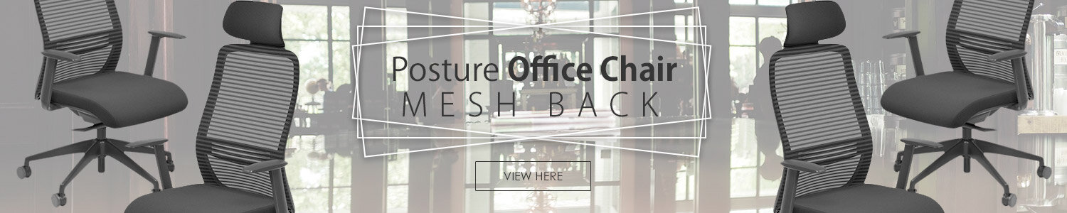 NV Posture Office Chair with Contoured Mesh Back and Adjustable Lumbar Support & Headrest Black