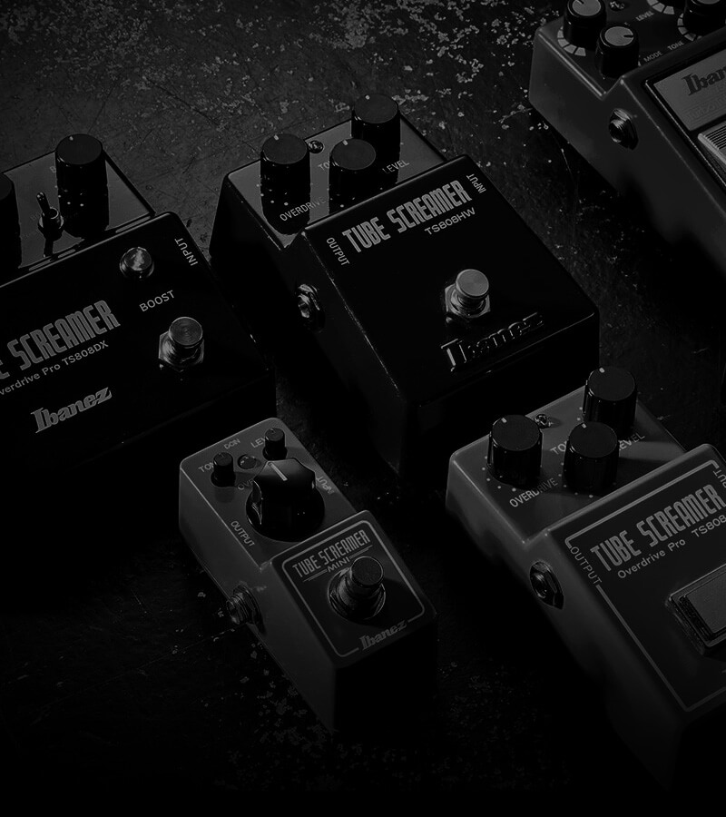 Image with missing alt attribute found on ibanez.com