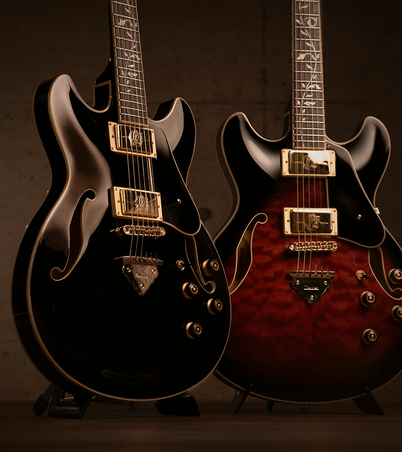 Image with missing alt attribute found on ibanez.com