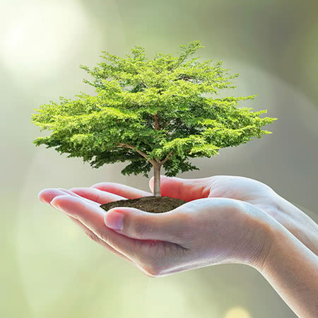 Image with missing alt attribute found on ibs.it