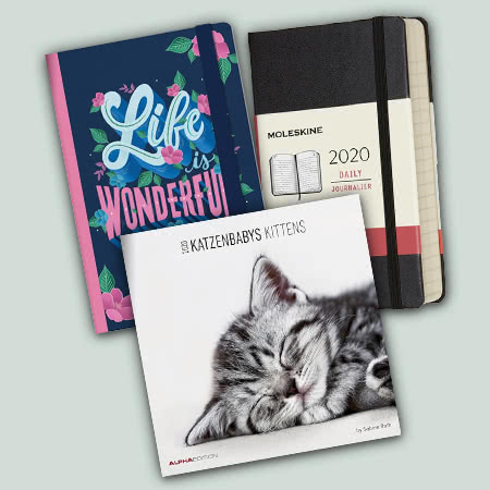 Image with missing alt attribute found on ibs.it