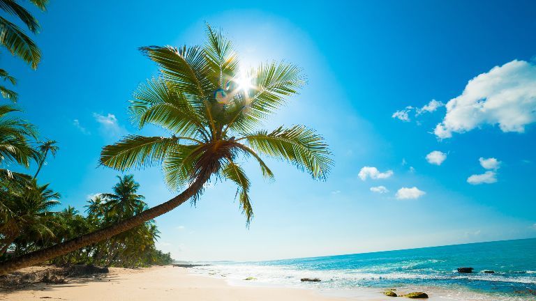 Image with missing alt attribute found on igmetall.de