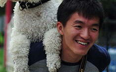 Image with missing alt attribute found on wemomo.com