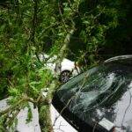 best car accident lawyer