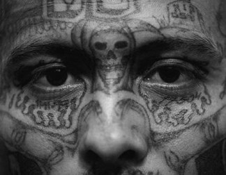 Image with missing alt attribute found on insightcrime.org