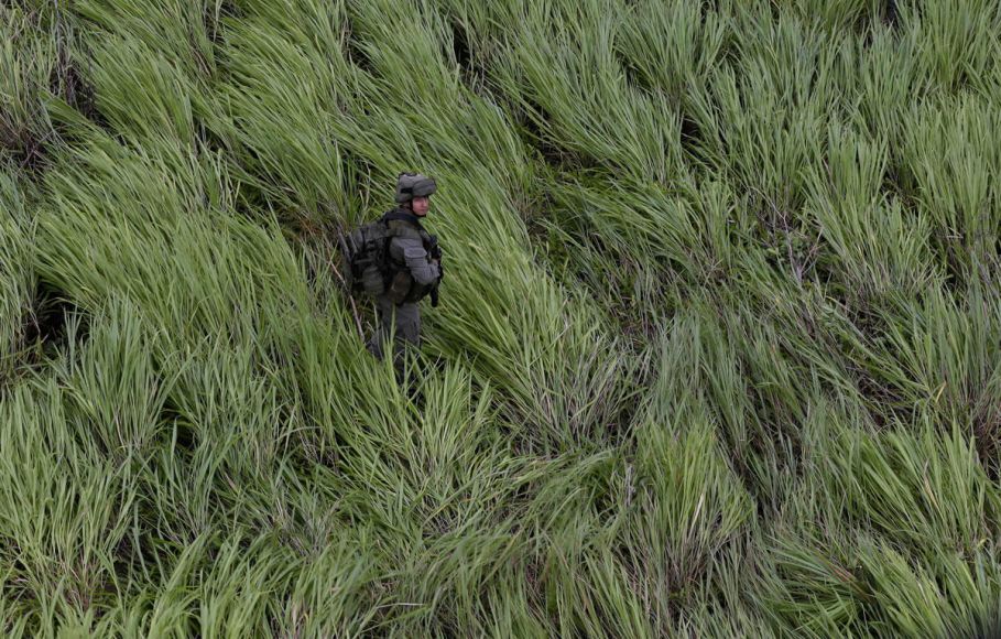 Image with missing alt attribute found on insightcrime.org