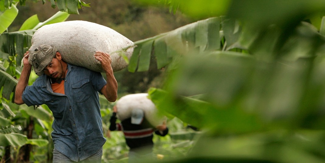 Image with missing alt attribute found on insightcrime.org