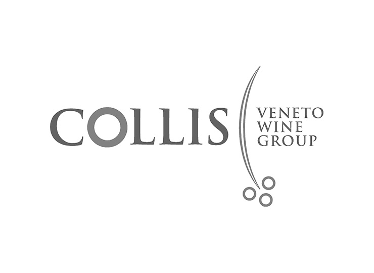 Image with missing alt attribute found on intesys.it