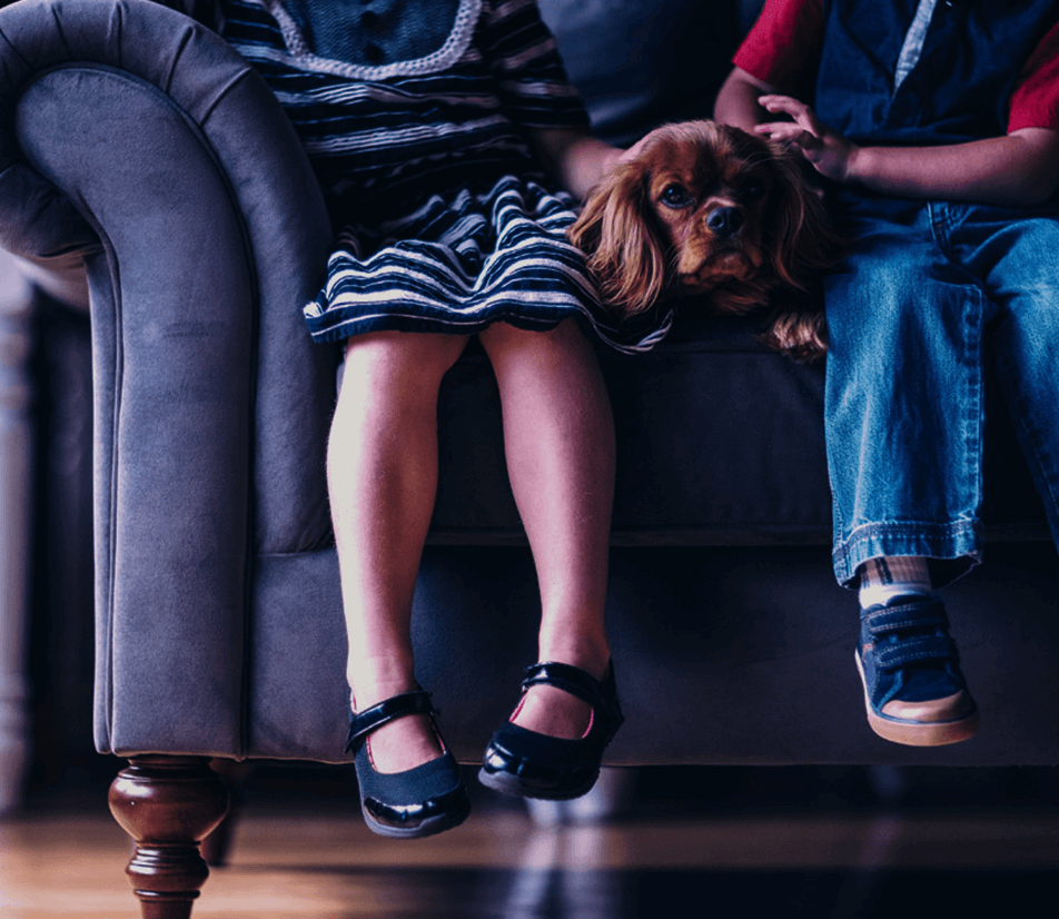 Image with missing alt attribute found on invespcro.com