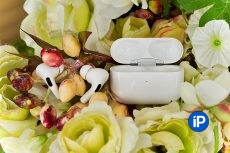 Image with missing alt attribute found on iphones.ru