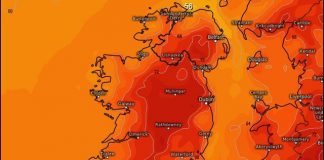 Image with missing alt attribute found on irelandbeforeyoudie.com