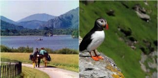 Image with missing alt attribute found on irelandbeforeyoudie.com