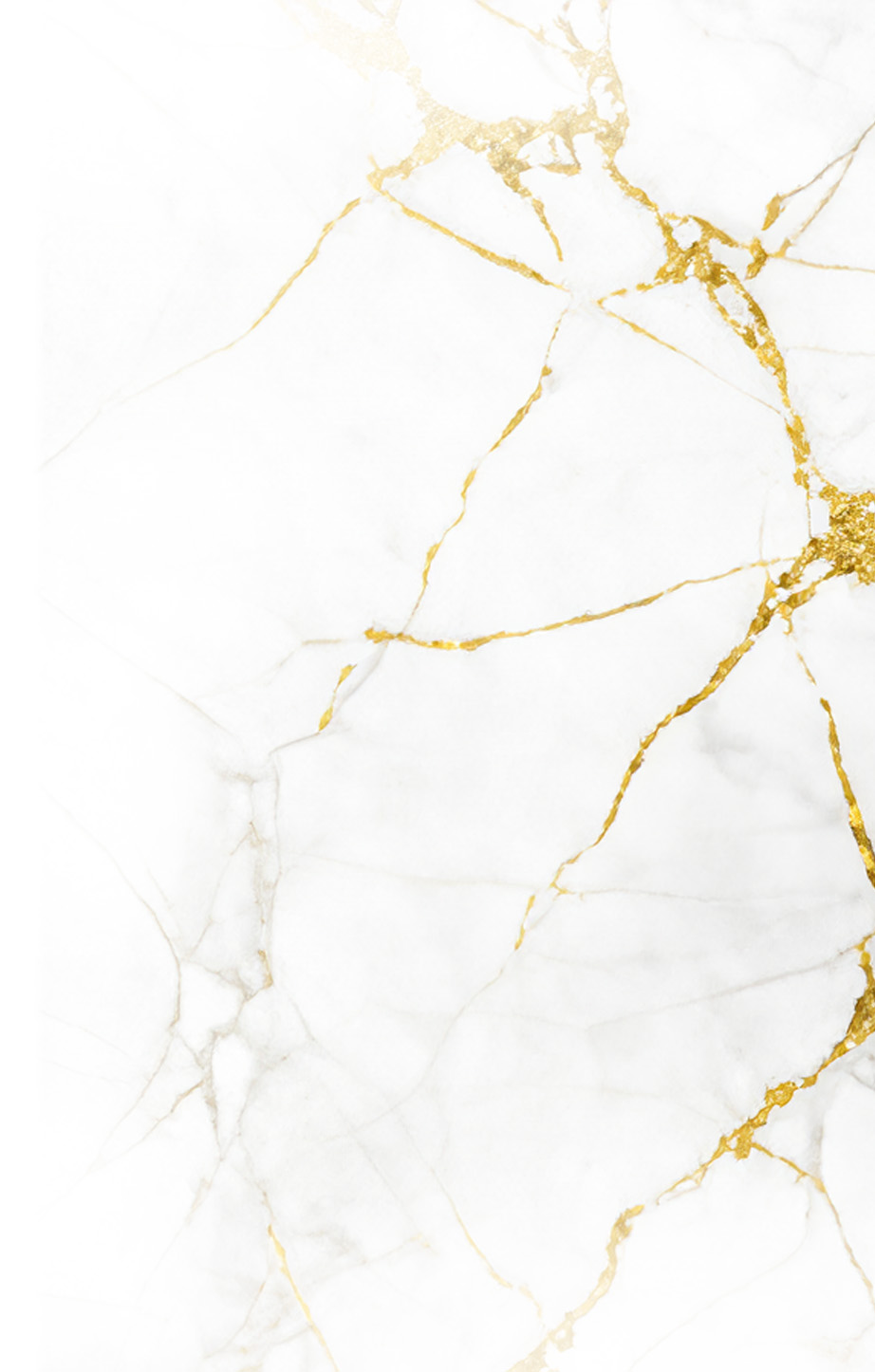 Image with missing alt attribute found on istonecare.com.au