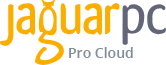 Jaguar PC- Pro Website Hosting
