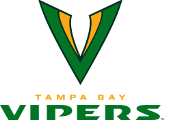 Image with missing alt attribute found on joebucsfan.com