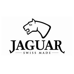 Image with missing alt attribute found on joyeriapato.com