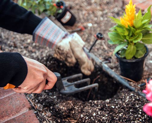 Image with missing alt attribute found on kiwiiz.fr