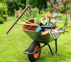 Image with missing alt attribute found on kiwiiz.fr