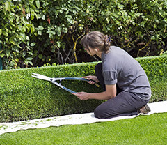 Image with missing alt attribute found on kiwiiz.fr