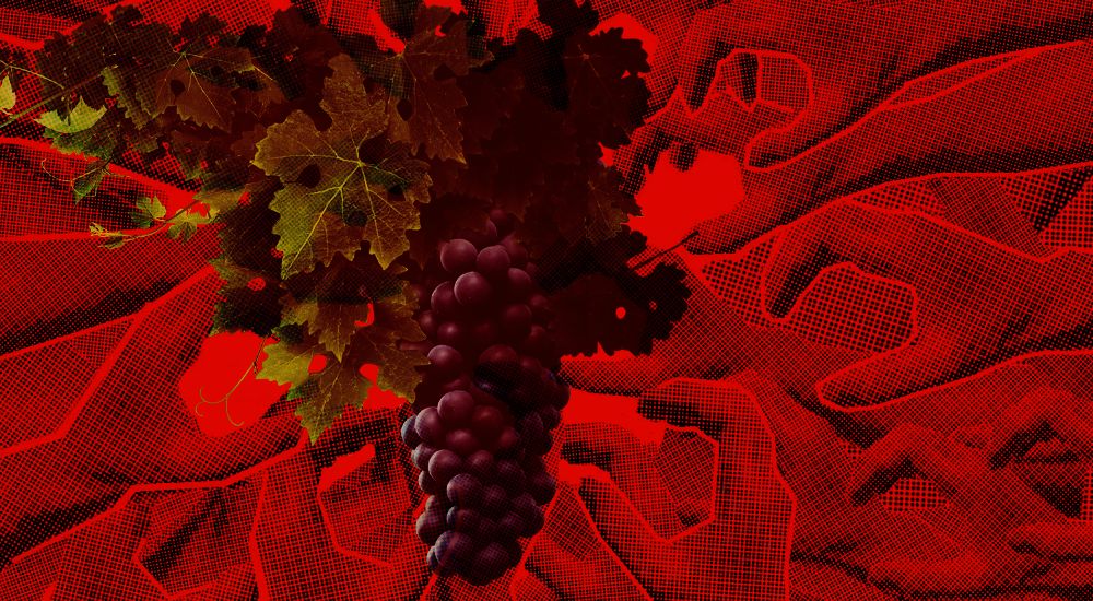 Image with missing alt attribute found on klerk.ru