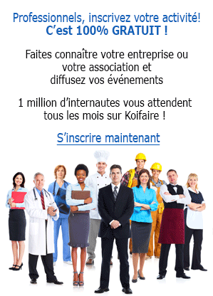 Image with missing alt attribute found on koifaire.com