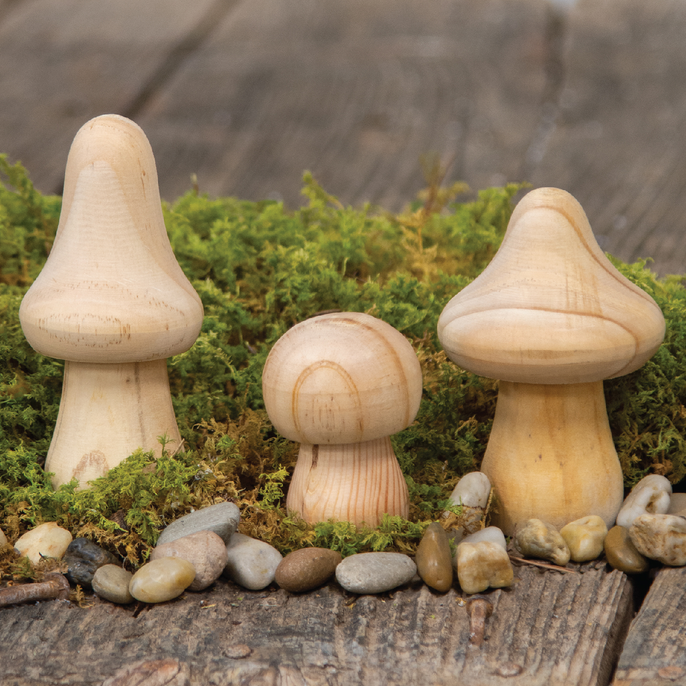 Image with missing alt attribute found on kpcreek.com