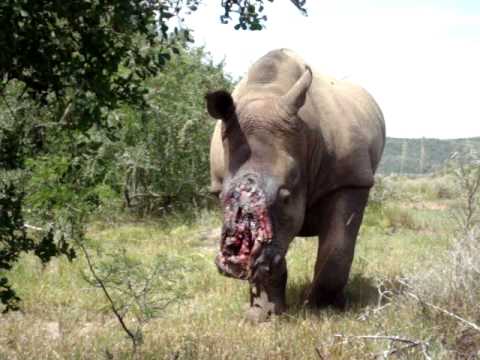 Image with missing alt attribute found on koreatimes.com