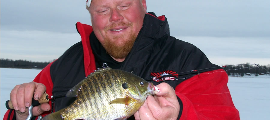 Hunting Walleye at First Ice - The first ice period often offers opportunities to catch aggressive walleye in shallow water.