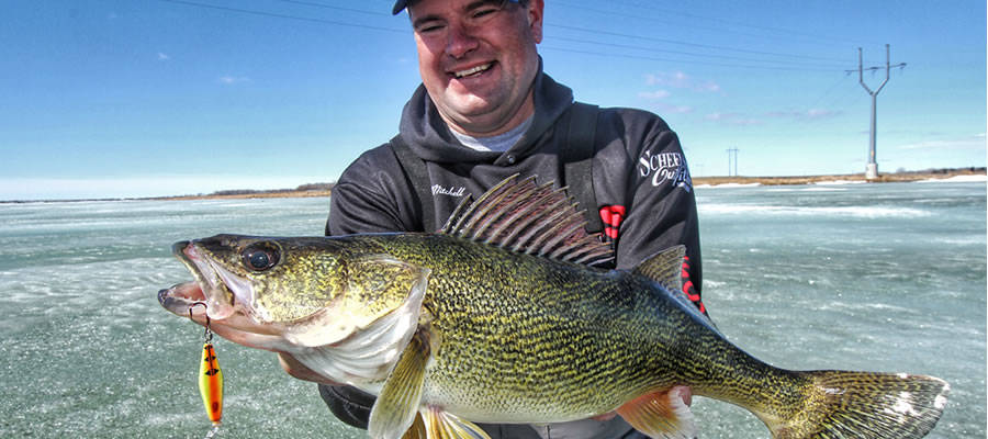 Hunting Walleye at First Ice - The first ice period often offers opportunities to catch aggressive walleye in shallow water.
